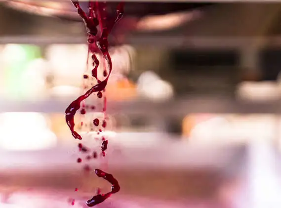 Produzione di vino rosso nella collina di Mezzane di Sotto - Il Monte Caro