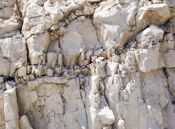 Suolo bianco roccioso. Pietra di calcare con felce. Parte di terreno della valpolicella.