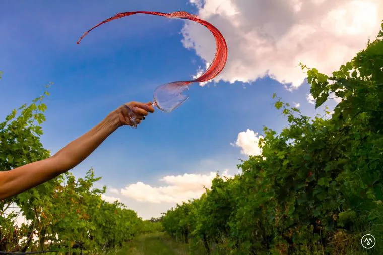 Photo Shooting and wine tasting | Il Monte Caro
