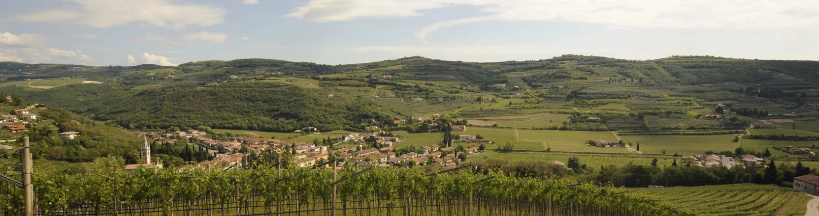 Vallata con vigneto - Mezzane di Sotto